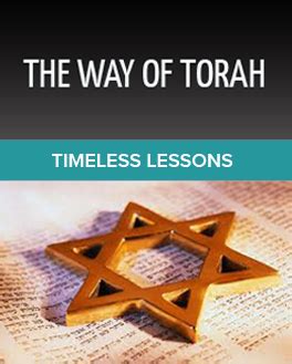 Courtesy Of The Math Club 2025 𝚆𝚊𝚝𝚌𝚑 In HD
